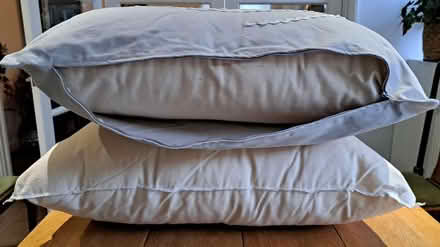 Photo of free 2 Large IKEA Lydia Cushions/Pillows (Welwyn Garden City AL8) #2
