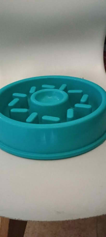 Photo of free Slow feeder dog bowl (E20, Stratford) #2