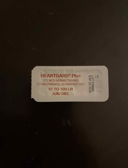 Photo of free One chew of heart guard plus 4 dogs (Mount Vernon) #1