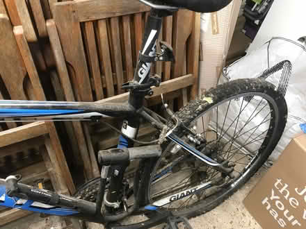 Photo of free Bike for person around 6ft tall (Jacksons Lane, Billericay) #4