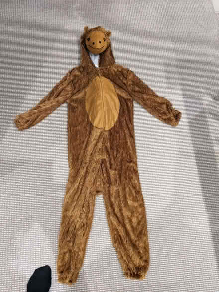 Photo of free Camel costume for child aged 7-9 yrs (Diggle OL3) #1