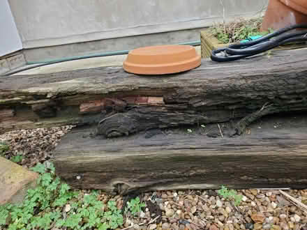 Photo of free Railway sleepers x 2 (Norwich, NR1) #2