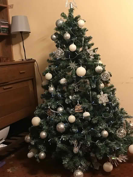 Photo of free Artificial Christmas tree (BA13 Edington) #1