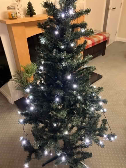 Photo of free Pre lit Christmas tree 5.5ft (Hardhorn FY6) #2