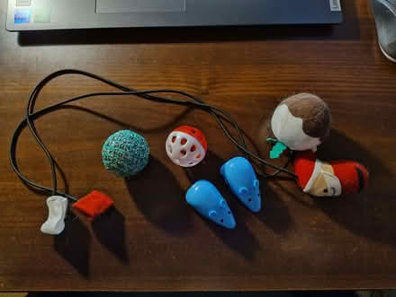Photo of free Various cat toys (Top Amersham HP6) #1