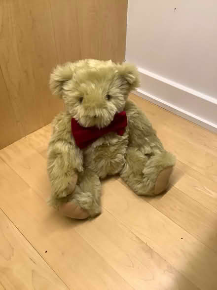 Photo of free Vermont Teddy Bear (Gtown + Clopper & Richter Farm) #1