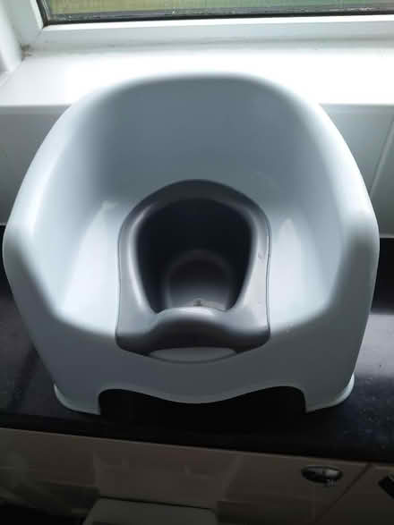 Photo of free Potty with removable insert (Warminster BA12) #1