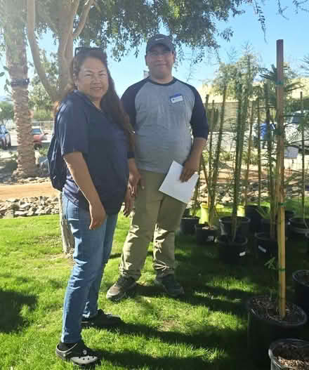 Photo of free Shade Trees in 5-Gal. Pots (2818 N. Macy Street) #3