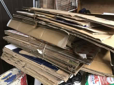 Photo of free Packing boxes (Jacksons Lane, Billericay) #1