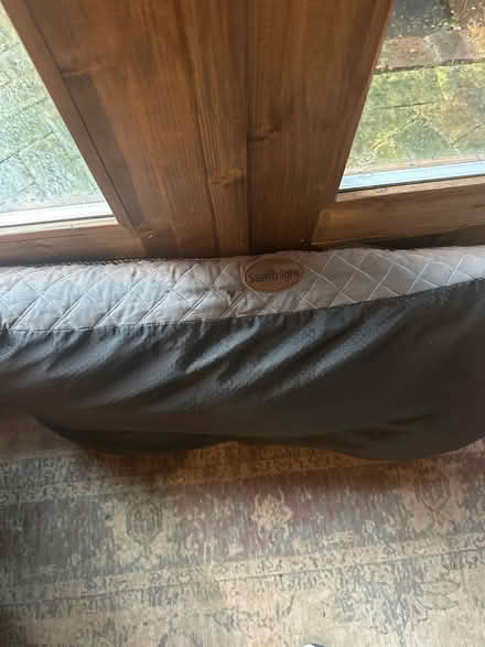 Photo of free dog bed (chiswick) #2