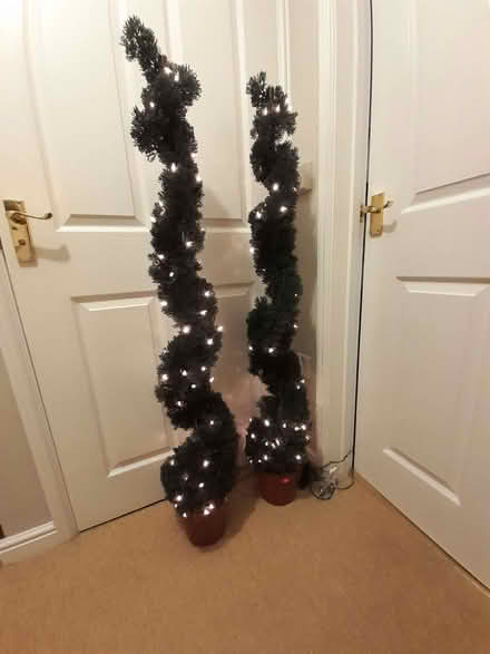 Photo of free X2 pre-lit spiral topiary Christmas trees (Hevingham NR10) #2