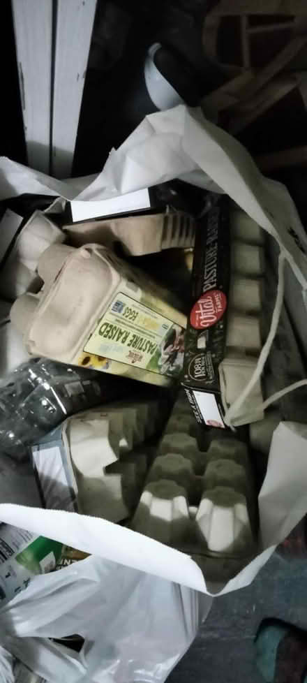 Photo of free Egg cartons - clean and charming (Maple Leaf) #1