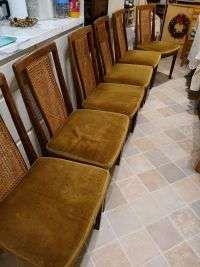 Photo of free Dining chairs (Lings) #1