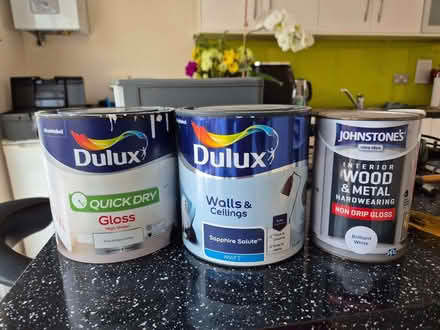 Photo of free Tins of Paint - 2 gloss, 1 blue for walls and ceilings (Shinfield RG2) #1