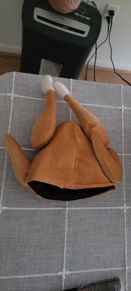 Photo of free Turkey hat (Takoma DC) #1