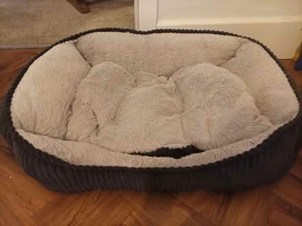 Photo of free Dog bed (Nottingham) #1