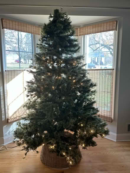 Photo of free Christmas Tree (Annandale, NJ) #1