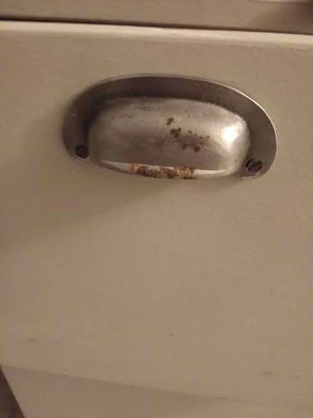 Photo of free Filing cabinet (Bath) #3