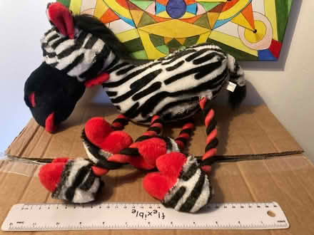 Photo of free Plush Zebra soft toy (Hartington Road BN2) #2