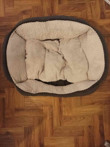 Photo of free Dog bed (Nottingham) #2