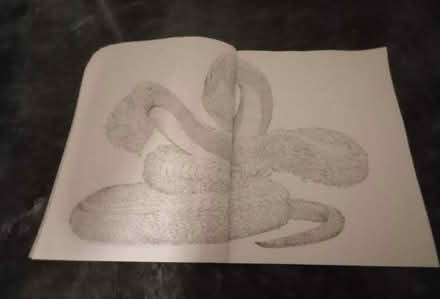 Photo of free Colouring book (Erith DA8) #2