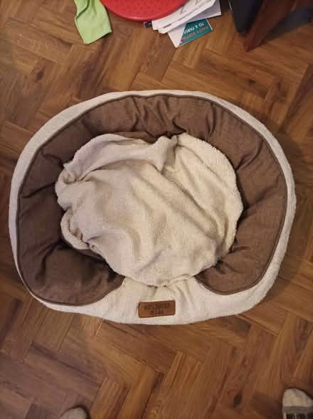 Photo of free Brown and white dog bed (Basford, NG5) #1