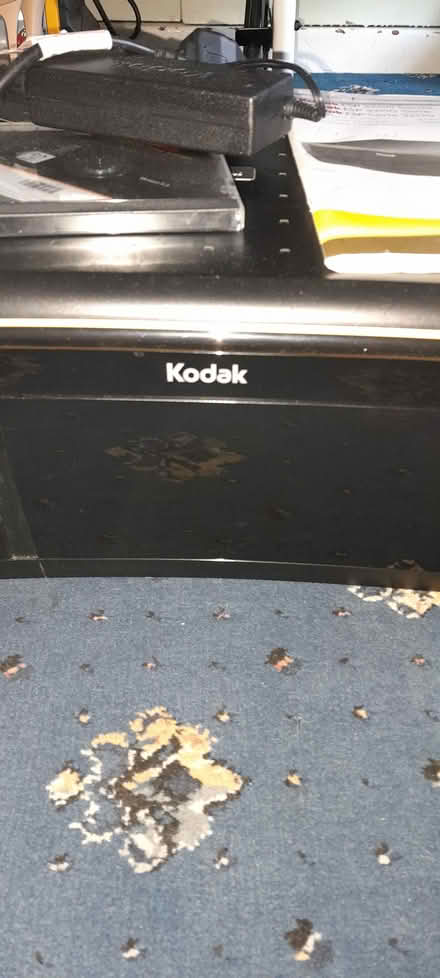 Photo of free Printer (Loanhead EH20) #2