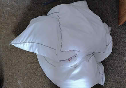 Photo of free Old IKEA pillows (Easton BS5) #1