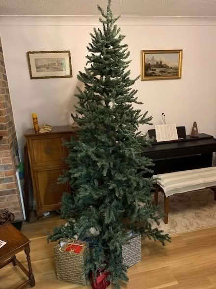 Photo of free Christmas Tree (Emsworth PO10) #1