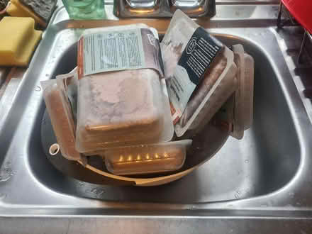 Photo of free Bella & duke cat food frozen x15 (Romsey, CB1) #1