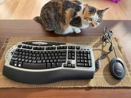Photo of free Microsoft keyboard (Vancouver, Yaletown) #1