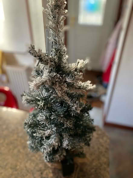 Photo of free 2ft Mini Snowy Tree with white lights (Upper Largo KY8) #2