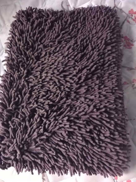Photo of free Shaggy brown bath mat (Cam GL11) #1