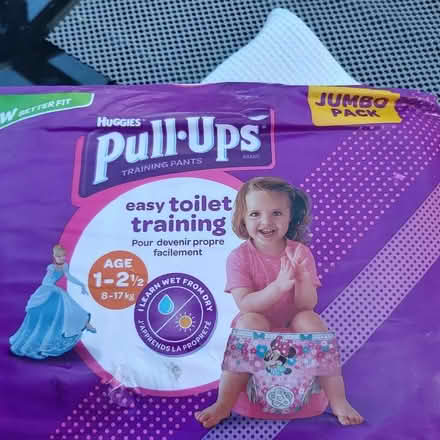 Photo of free Huggies Pull ups (Blackhall EH4) #1