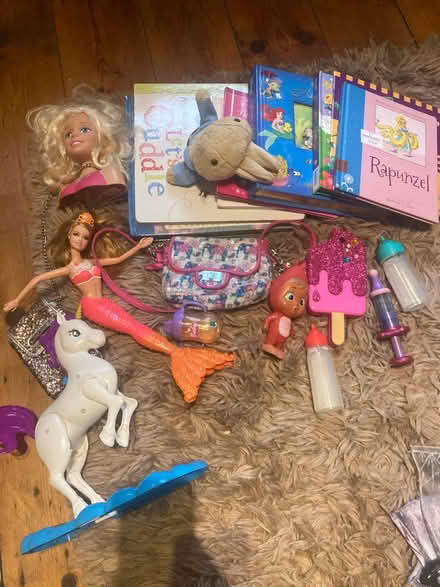 Photo of free Toys books etc (Walkley) #1