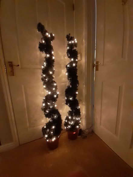 Photo of free X2 pre-lit spiral topiary Christmas trees (Hevingham NR10) #3