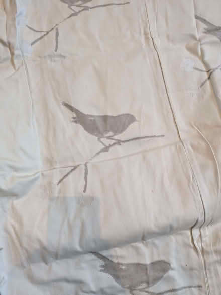 Photo of free Pair of cream curtains with bird detiail (Earwig Corner BN7) #2