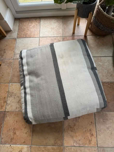 Photo of free 2 x Floor Cushions (Woodley, RG5) #1