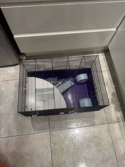 Photo of free Hamster cage (Woking) #2