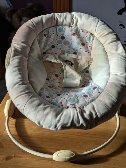 Photo of free Baby bouncer (Bradford on Avon BA15) #1