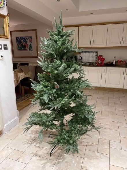 Photo of free Christmas Tree 6ft tall (Selsdon CR2) #1