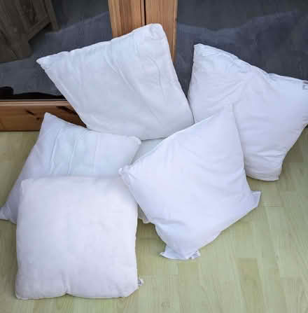 Photo of free 5 cushions interiors polyester fluff ~ gu16 frimley (Frimley Green GU16) #1