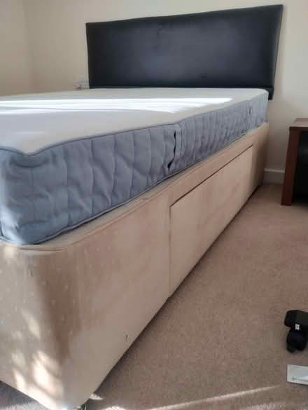 Photo of free Double bed (W14) #3
