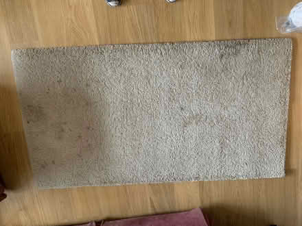 Photo of free IKEA Rug 80x150 (Newbury, Berkshire RG14) #1