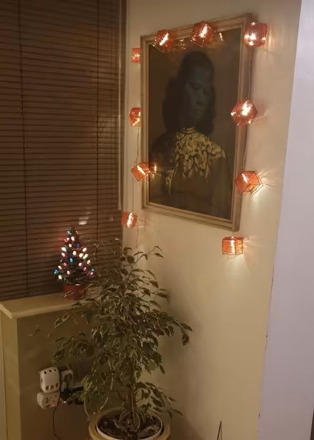 Photo of free Christmas lights (red) Not Working (Sharrow area S11) #3