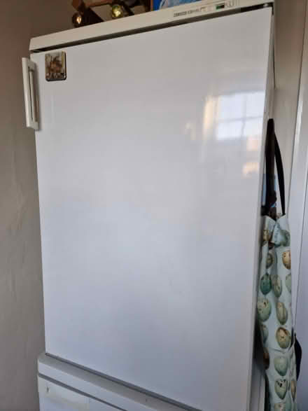Photo of free Freezer Zanussi (Camberley) #1