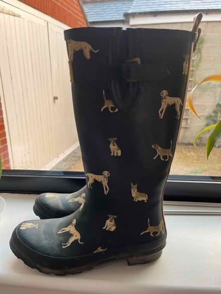 Photo of free Wellies size 7 (PO12 2 Gosport) #2