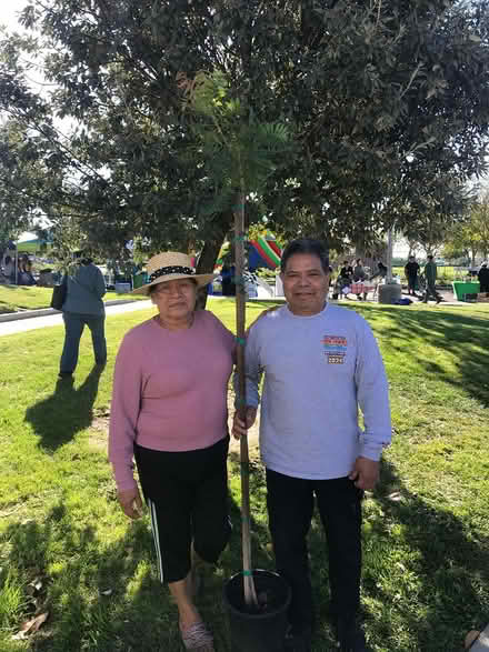 Photo of free Shade Trees (Indio Library) #2