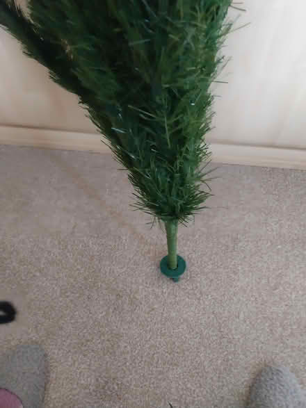 Photo of free Artifical Christmas tree (Trewoon) #1