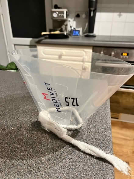 Photo of free Dog cone (KT18) #1